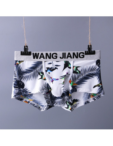 Хипсы с удлинённым гульфиком G144