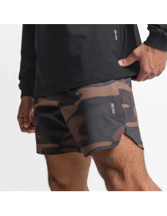 Шорты спортивные мужские 3444 2