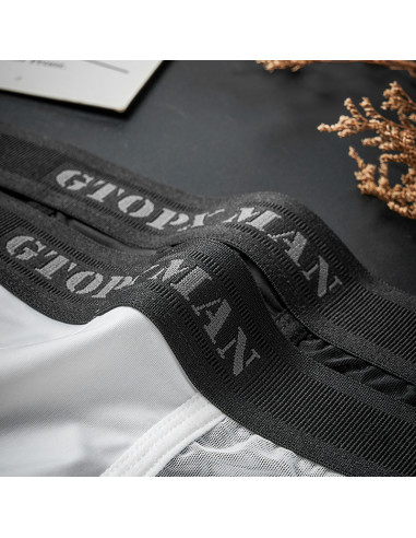 Мужское бельё в сеточку GT32