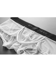 Боксеры мужские прозрачные GT38 2