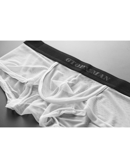 Боксеры мужские прозрачные GT38