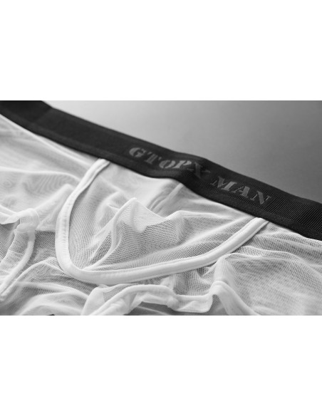 Боксеры мужские прозрачные GT38