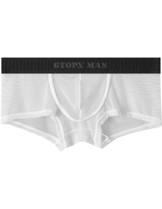 Боксери чоловічі прозорі GT38