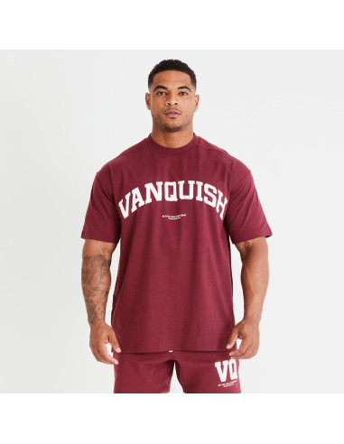 Футболка мужская VQ 4150