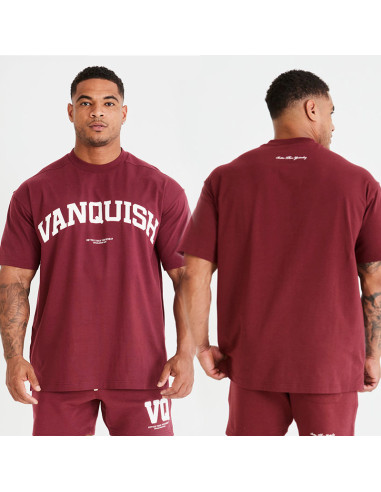 Футболка мужская VQ 4150