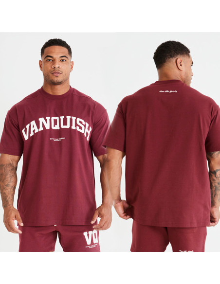 Футболка мужская VQ 4150