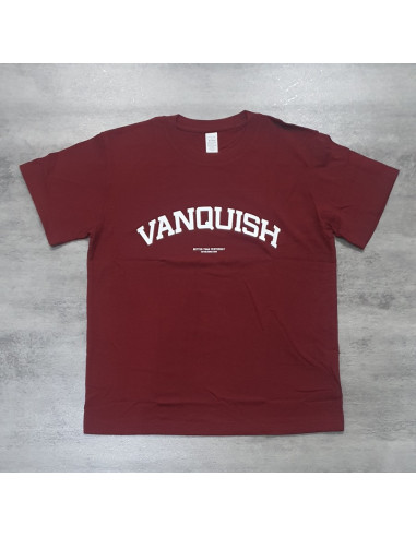 Футболка мужская VQ 4150