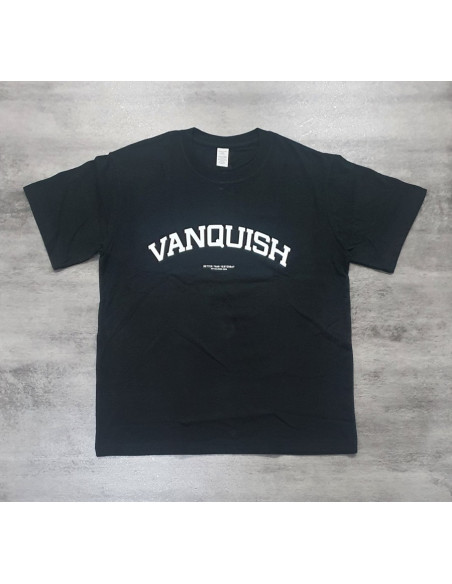 Стильная футболка спортивная VQ 4151