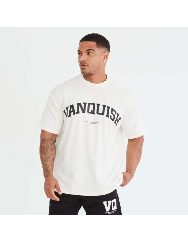 Футболка спортивная мужская VQ 4152