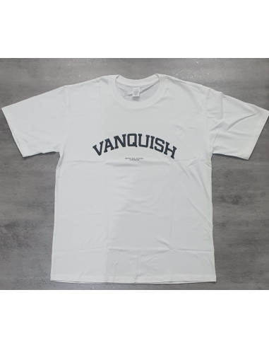 Футболка спортивная мужская VQ 4152