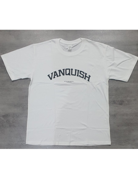 Футболка спортивная мужская VQ 4152