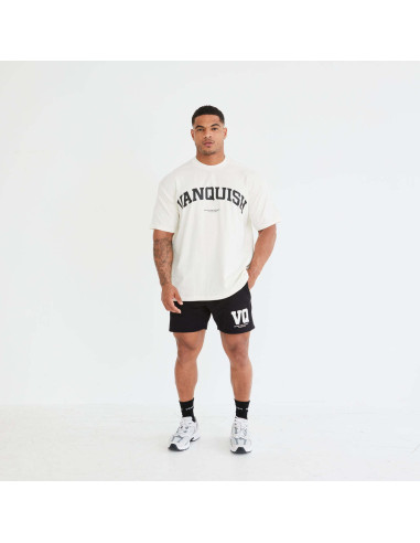 Футболка чоловіча спортивна VQ 4152