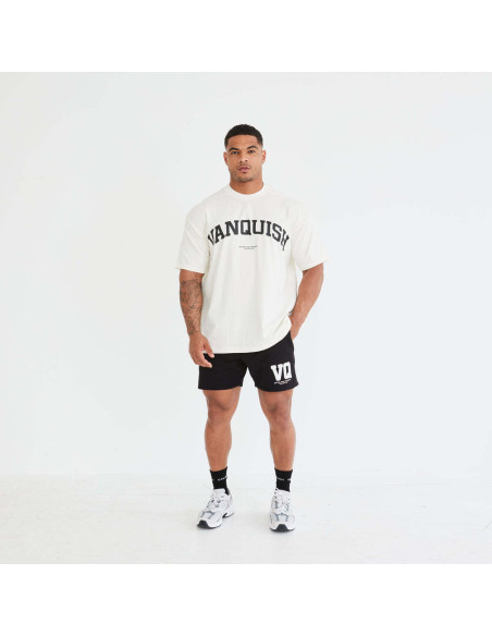 Футболка чоловіча спортивна VQ 4152