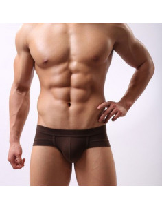 Трусы хипсы Asitoo Summer Brown лот 713