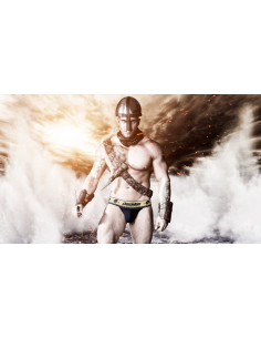 Трусы AUSSIEBUM Gladiator Cup лот 720 2