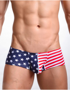 Трусы хипсы флаг USA лот 2042 2