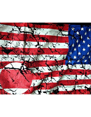 Спортивные майки USA Black лот 383