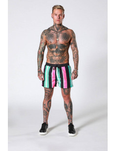 Стильні шорти в смужку 3401