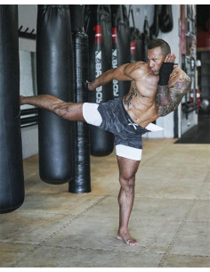 Шорты с тайтсами Sport Shorts  3410 2